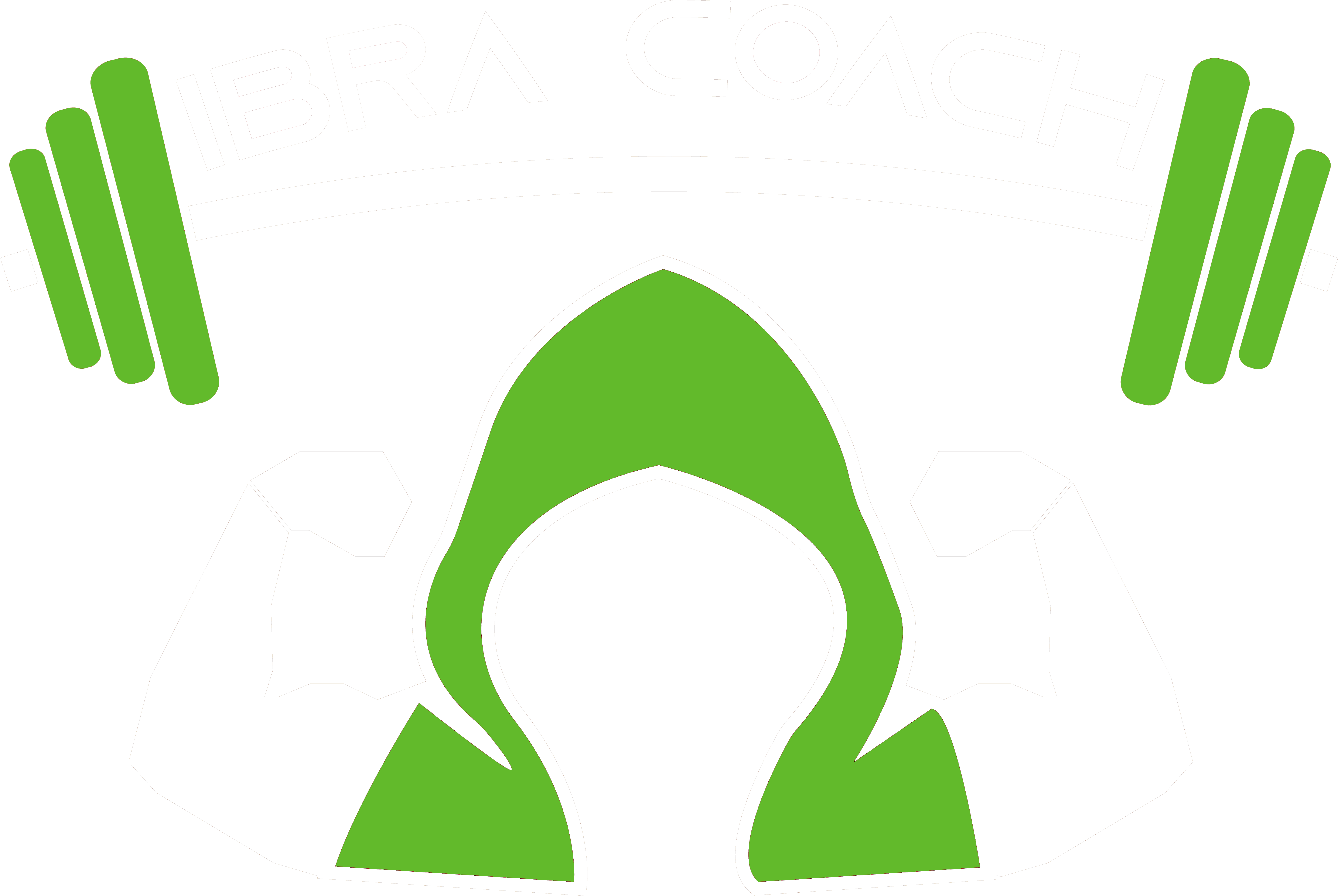 ibra-coach